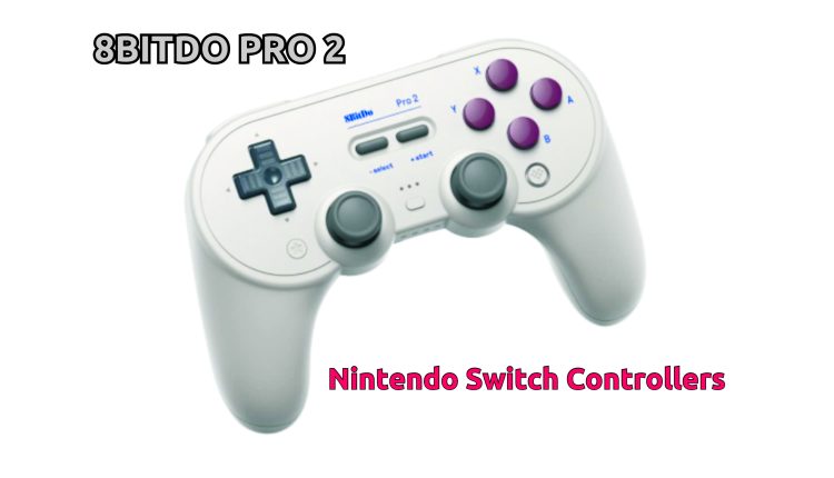 8BITDO PRO 2 Nintendo Switch Controllers